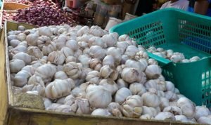 Bawang Merah Indonesia Berlebih, tapi Bawang Putih 95 Persen Impor