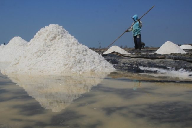 Harga Garam Anjlok, 60 Persen Petambak Garam di Jawa Barat Gulung Tikar