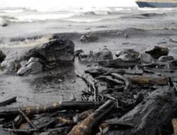 Perubahan Iklim: Greenwashing Chevron dan DuPont